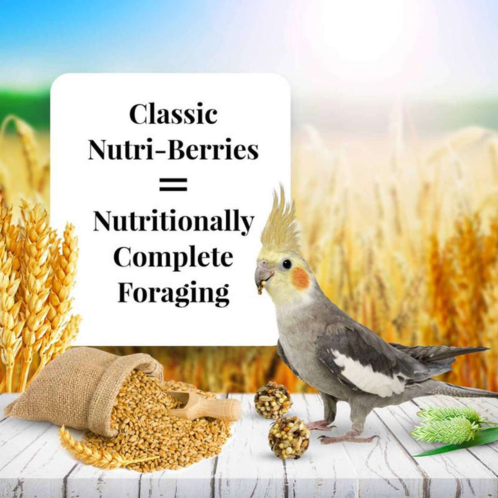 81642-nutri-berries-cockatiel-4lb-nutritionally-complete-foraging