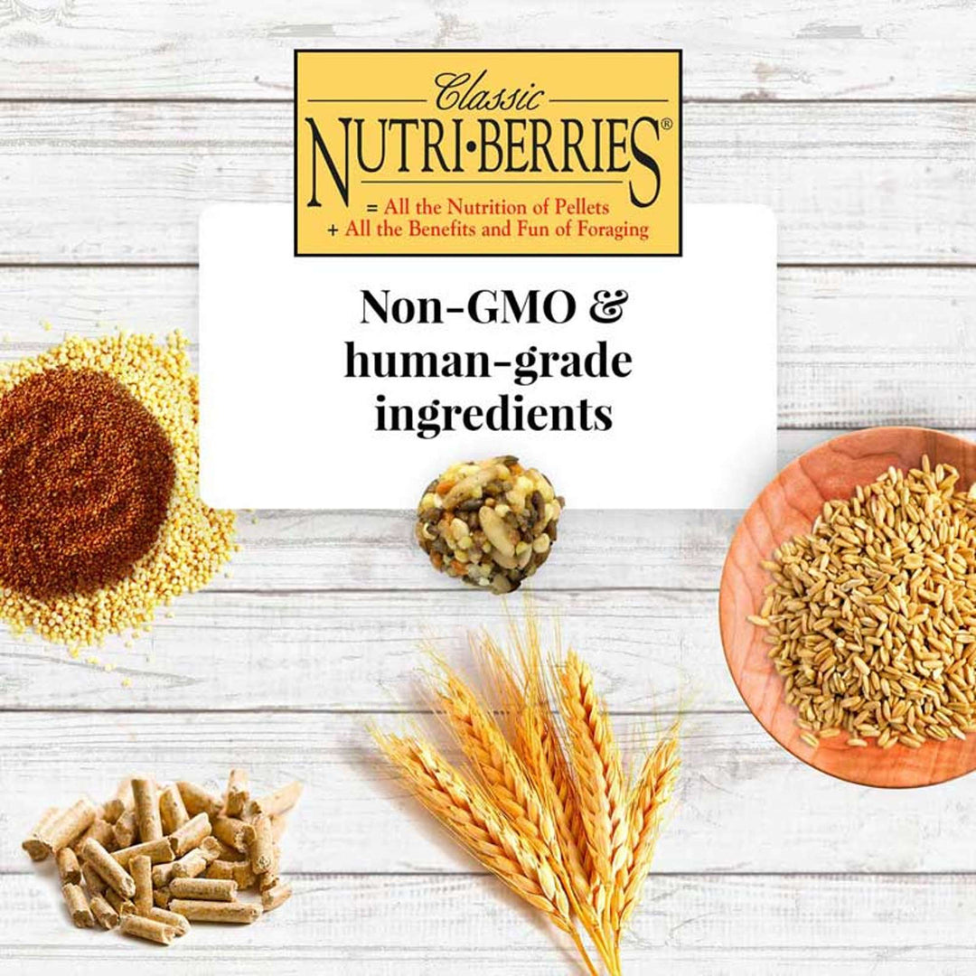 81642-nutri-berries-cockatiel-4lb-non-gmo-human-grade-ingredients