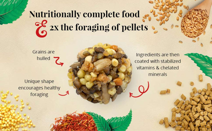 81642-nutri-berries-cockatiel-4lb-2x-the-foraging-of-pellets