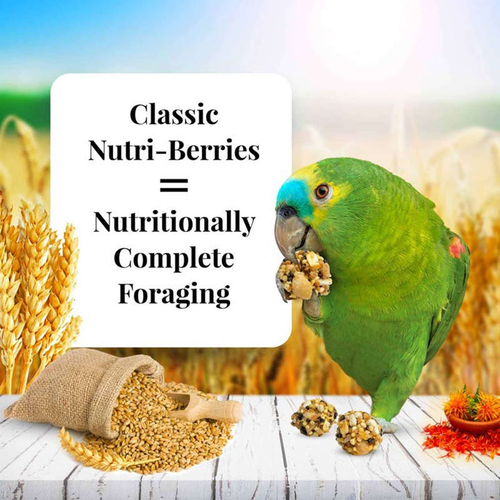 81652-nutri-berries-parrot-3lb-classic-nutritionally-complete-foraging