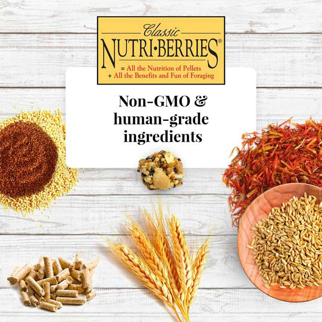 81652-nutri-berries-parrot-3lb-non-gmo-human-grade-ingredients
