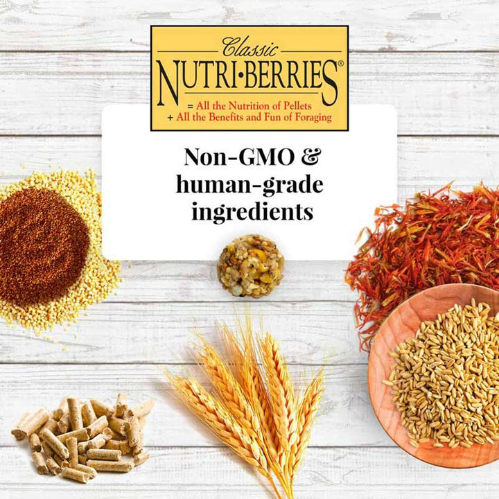 81662-nutri-berries-macaw-cockatoo-3lb-non-gmo-human-grade-ingredients