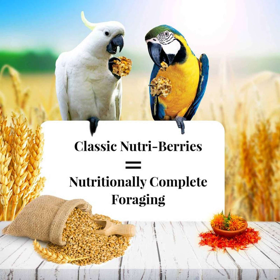 81667-classic-nutri-berries-macaw-cockatoo-14lb-nutritionally-complete-foraging