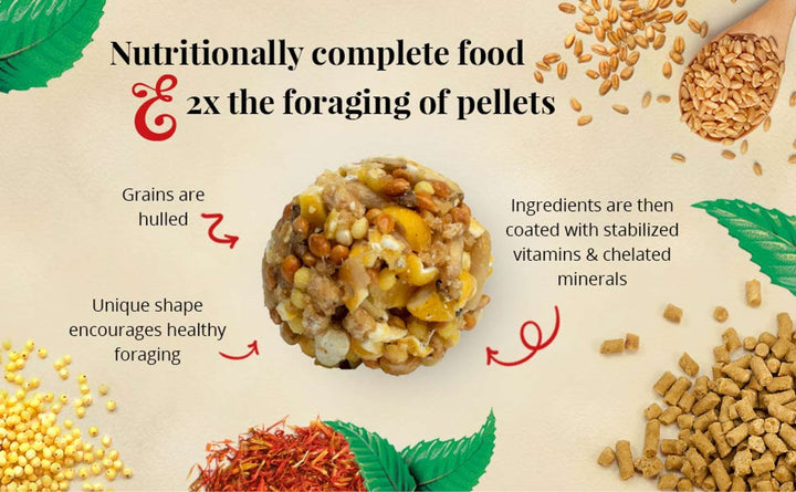 81667-classic-nutri-berries-macaw-cockatoo-14lb-nutritionally-complete-foraging-food-2x-the-foraging-of-pellets