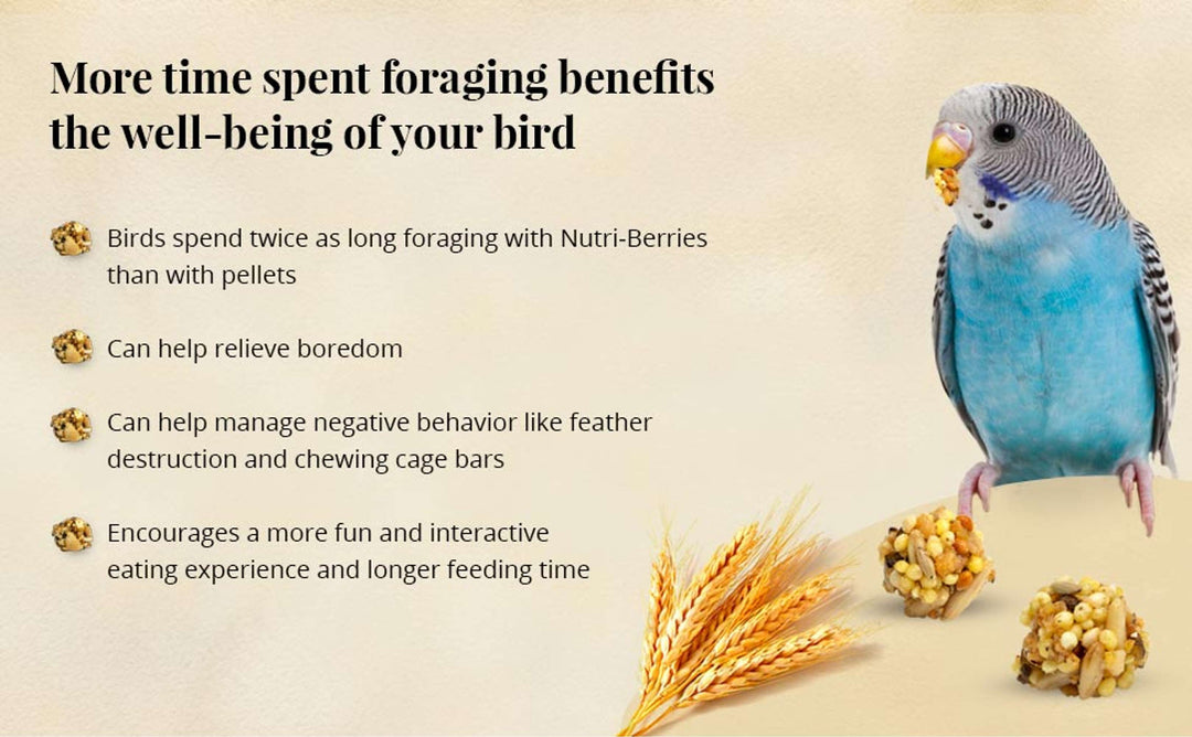 81730-classic-nutri-berries-parakeet-10oz-more-time-spent-foraging-benefits-the-well-being-of-your-bird