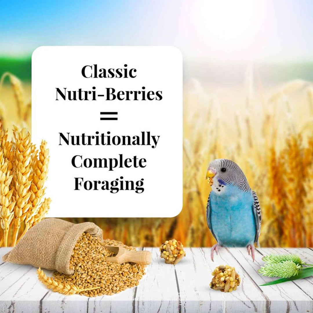 81730-classic-nutri-berries-parakeet-10oz-nutritionally-complete-foraging
