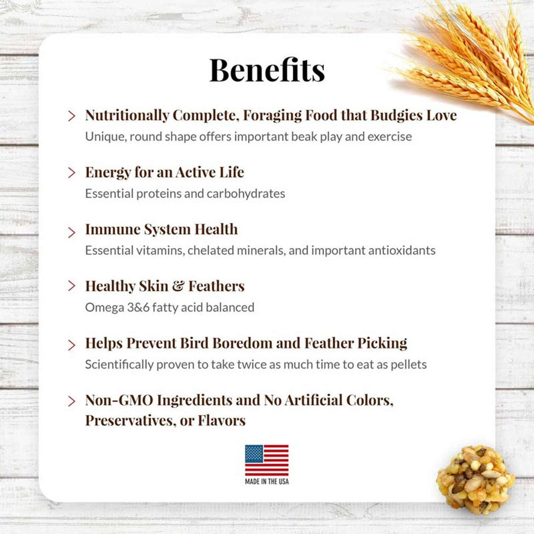 81730-classic-nutri-berries-parakeet-10oz-benefits