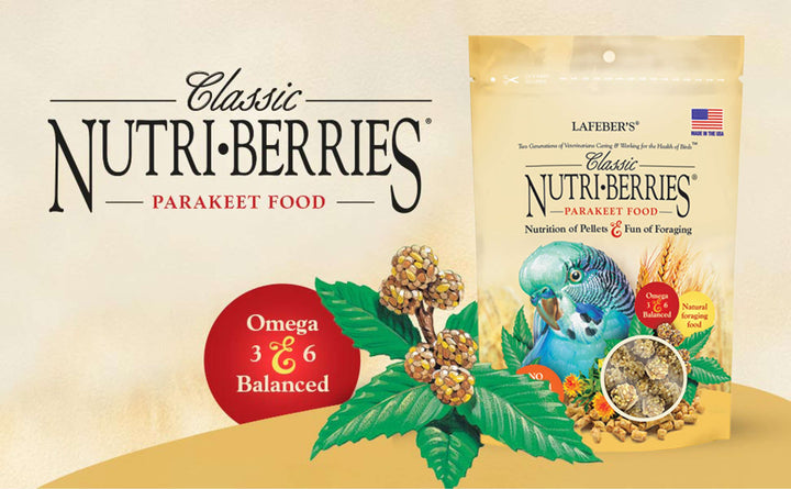 81730-classic-nutri-berries-parakeet-10oz-omega-3-omega-6-balanced
