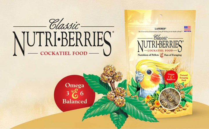 81740-classic-nutri-berries-cockatiel-10oz-omega-3-omega-6-balanced