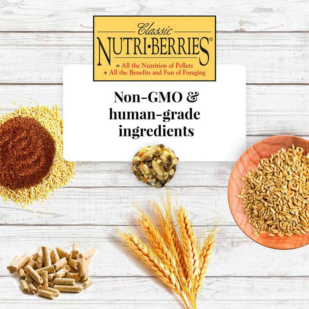 81740-classic-nutri-berries-cockatiel-10oz-non-gmo-human-grade-ingredients