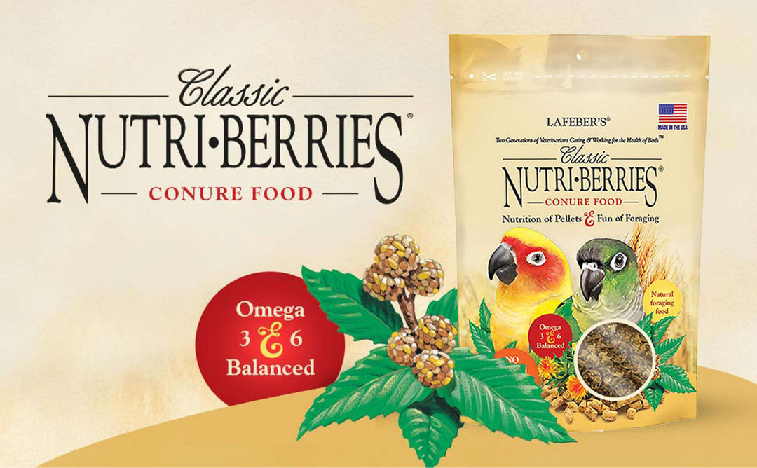 81745-classic-nutri-berries-conure-omega-3-omega-6-balanced