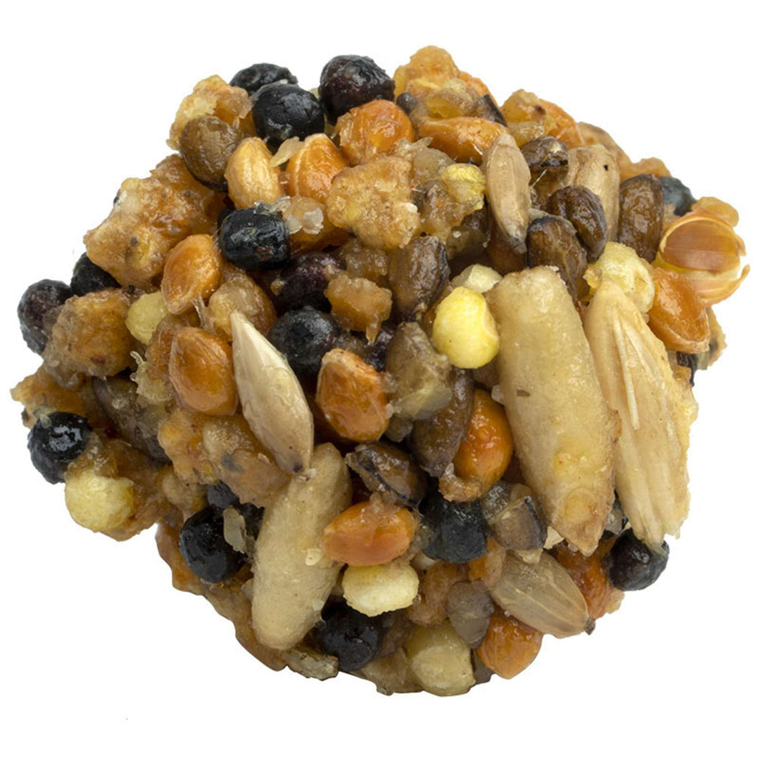 81745-classic-nutri-berries-conure-grain