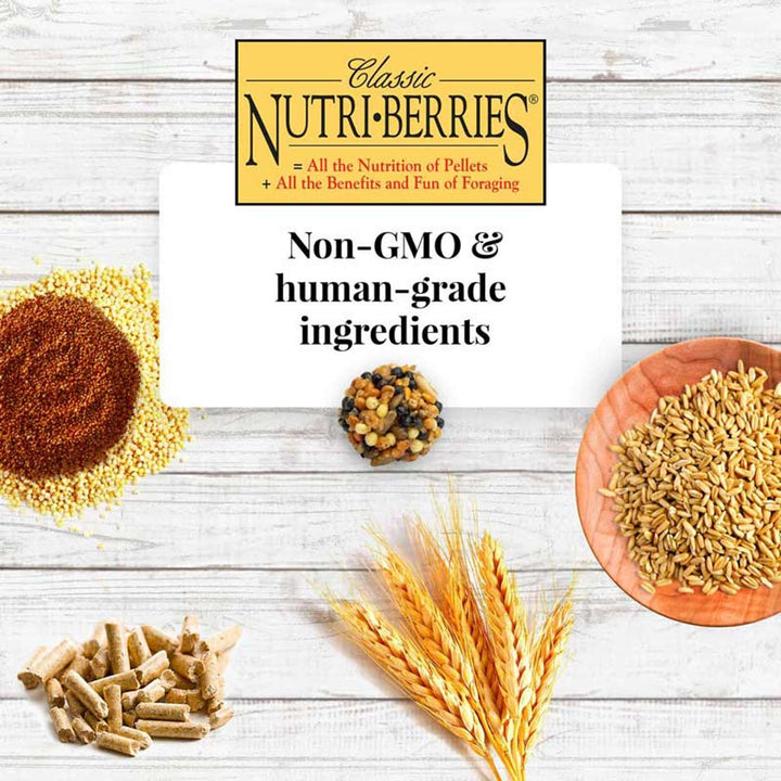 81745-classic-nutri-berries-conure-non-gmo-human-grade-ingredients