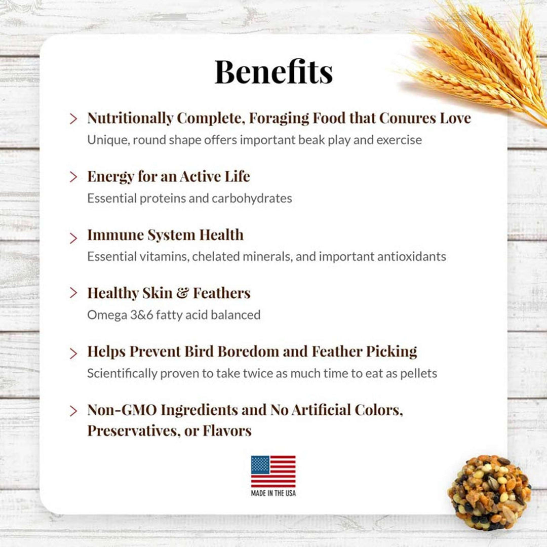 81745-classic-nutri-berries-conure-benefits