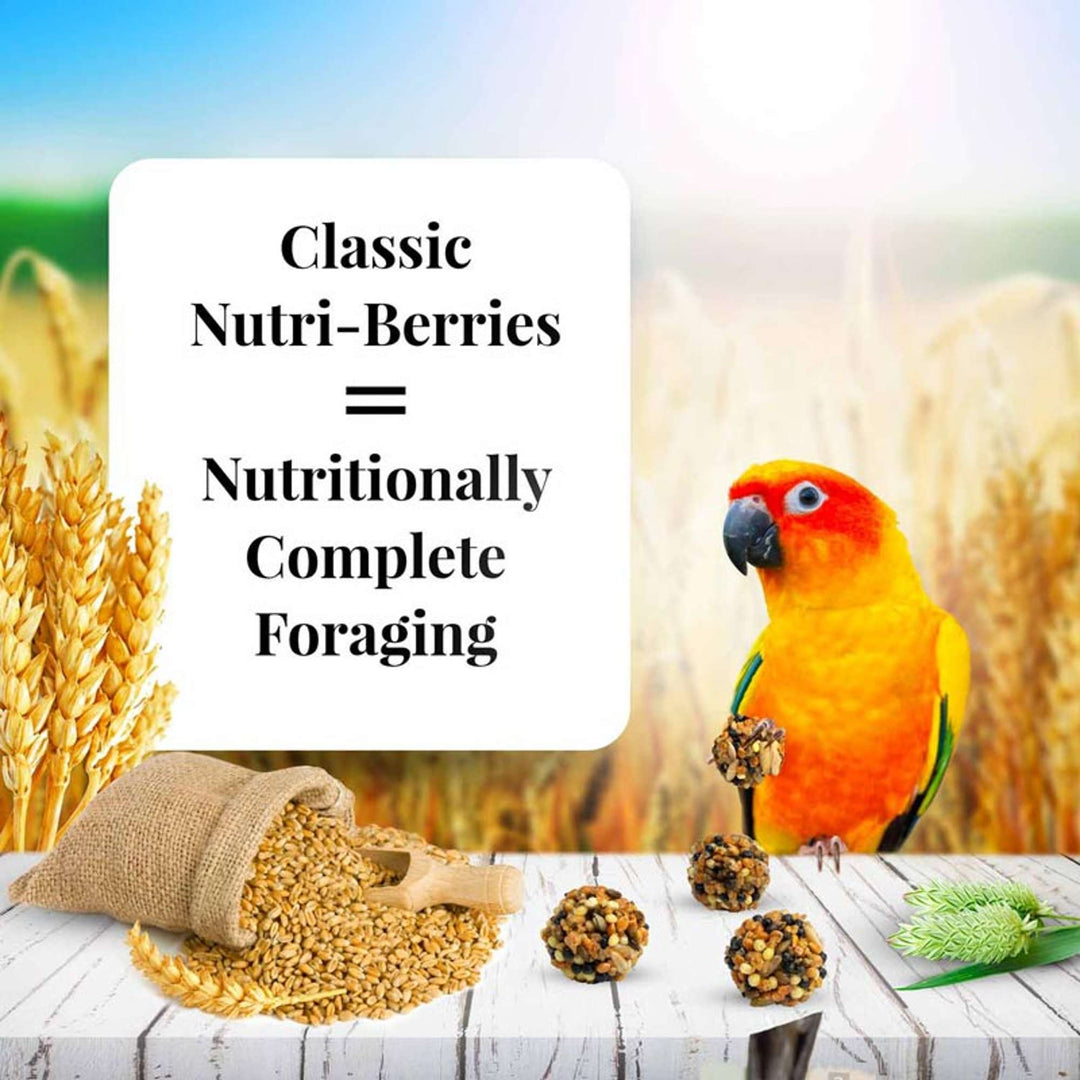 81745-classic-nutri-berries-conure-nutritionally-complete-foraging