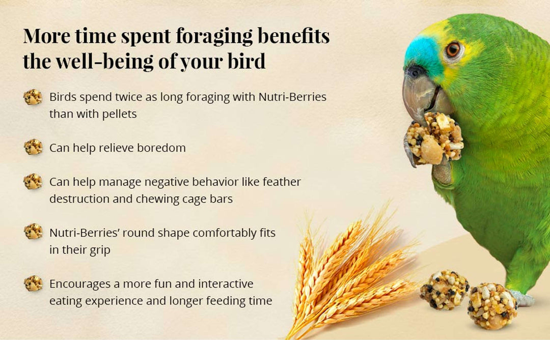 81750-classic-nutri-berries-parrot-10oz-more-time-spent-foraging-benefits-the-well-being-of-your-bird