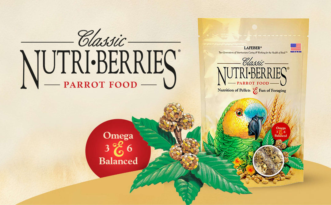 81750-classic-nutri-berries-parrot-10oz-omega-3-omega-6-balanced