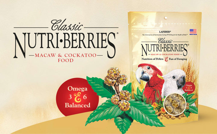 81760--classic-nutri-berries-macaw-10oz-omega-3-omega-6-balanced