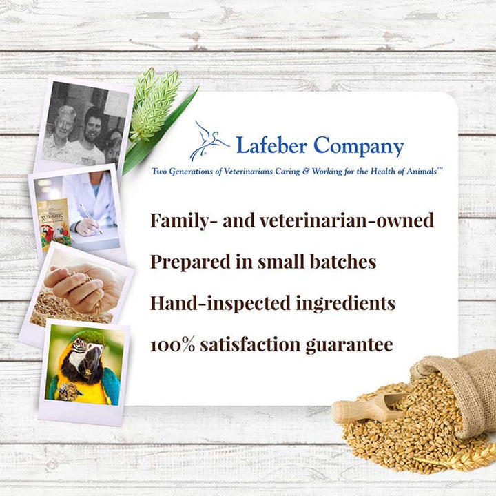 81760--classic-nutri-berries-macaw-10oz-lafeber-company