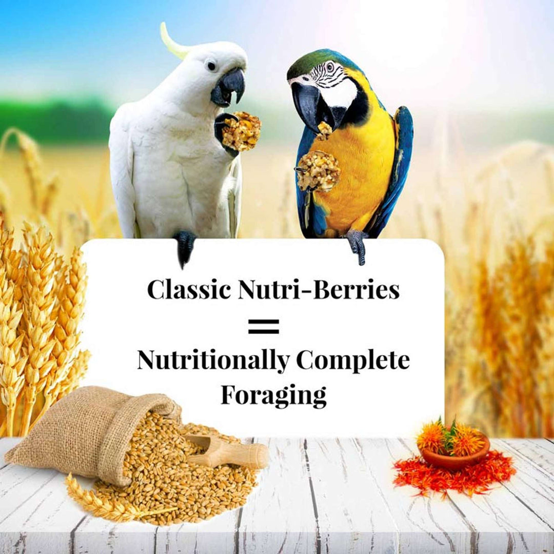 81760--classic-nutri-berries-macaw-10oz-nutritionally-complete-foraging