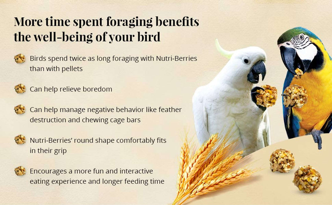 81760--classic-nutri-berries-macaw-10oz-more-time-spent-foraging-benefits-the-well-being-of-your-bird