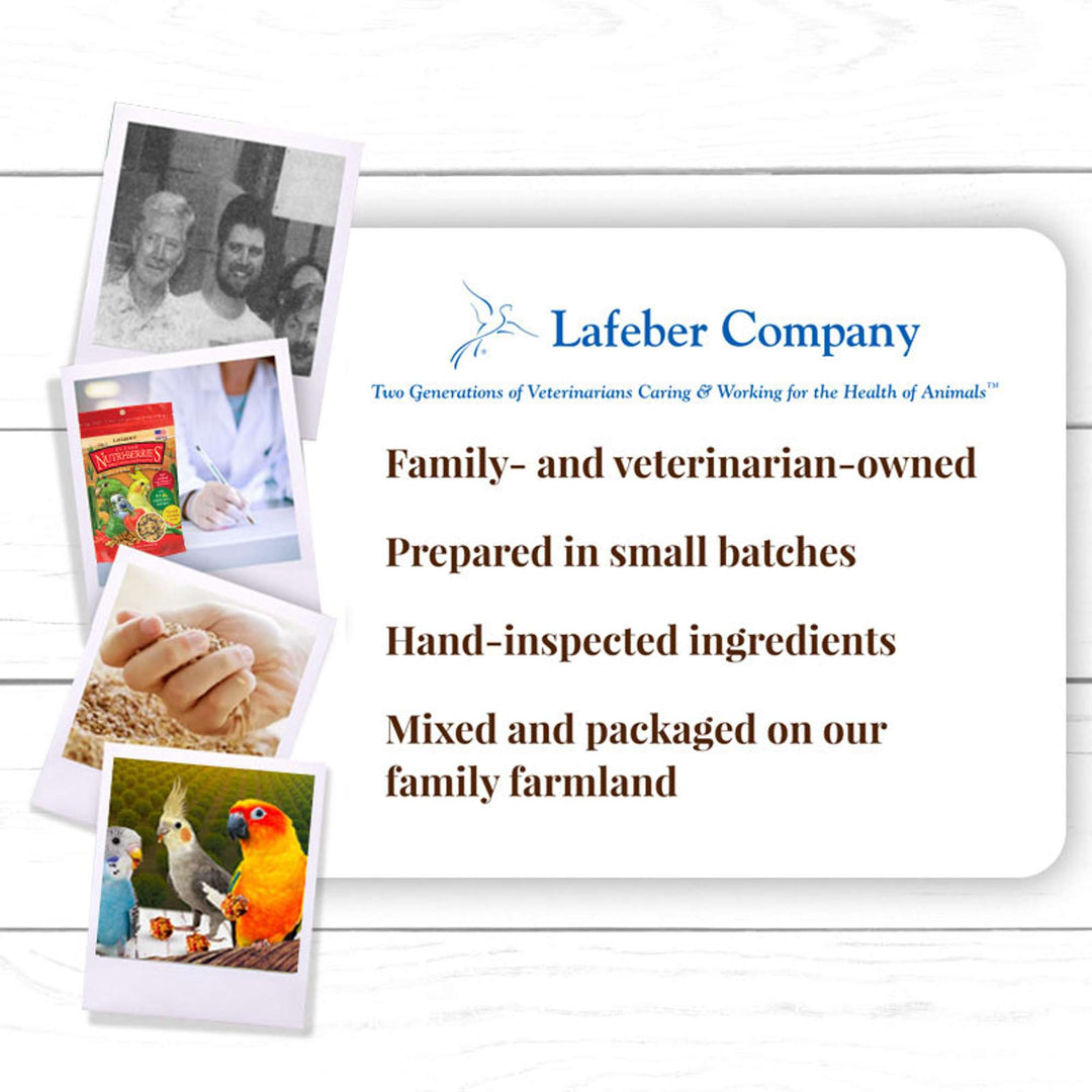 82140-el-paso-nutri-berries-small-bird-lafeber-company