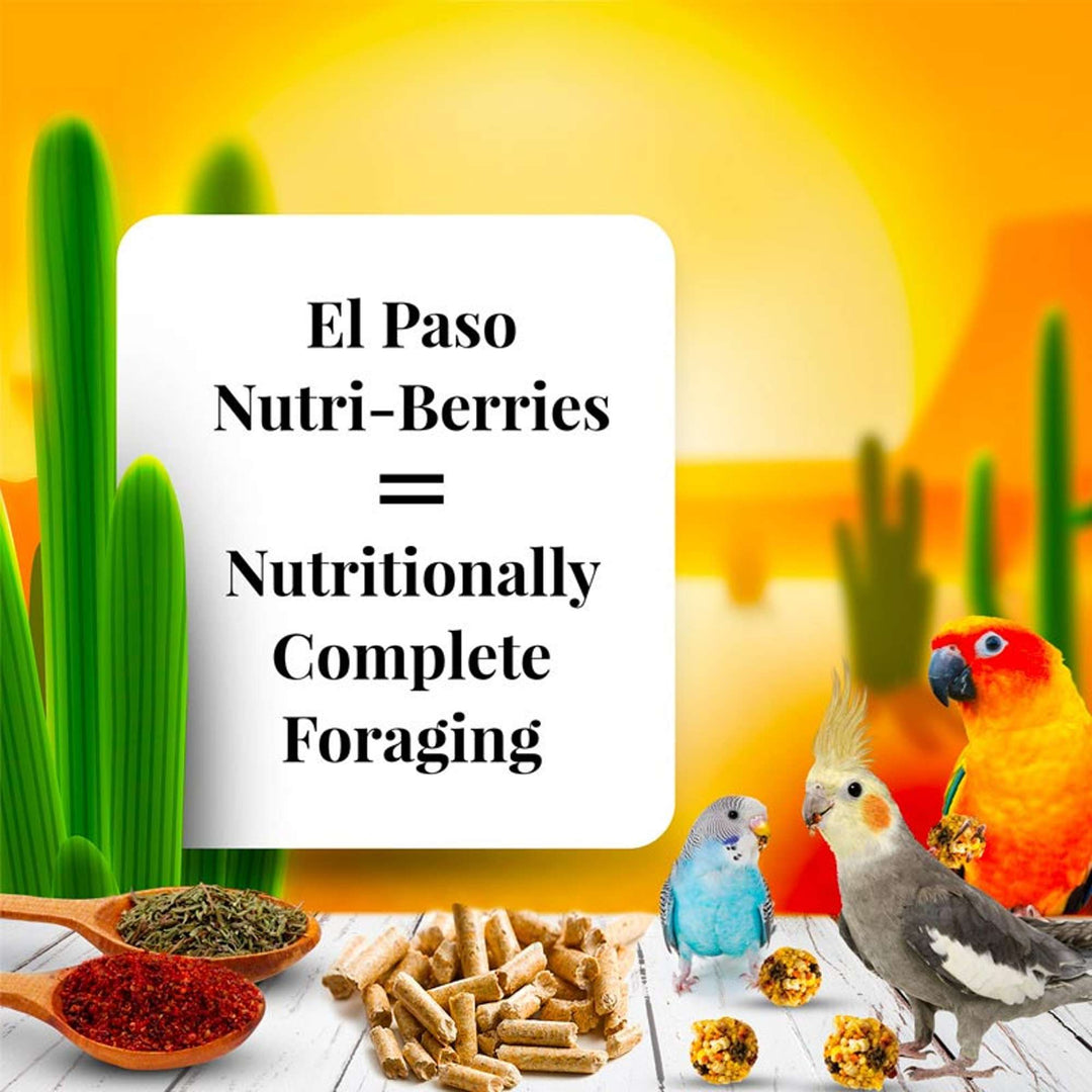 82140-el-paso-nutri-berries-small-bird-nutritionally-complete-foraging