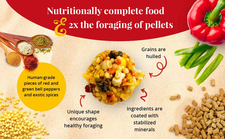 82150-el-paso-nutri-berries-parrot-complete-food