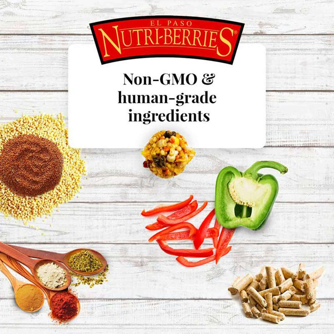 82152-el-paso-nutri-berries-parrot-non-gmo-human-grade-ingredients