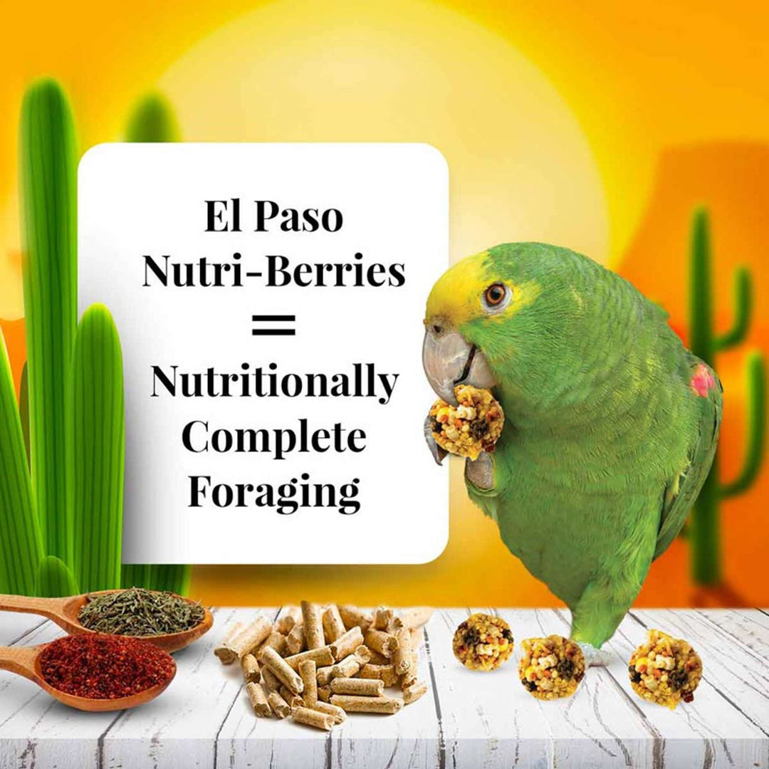 82152-el-paso-nutri-berries-parrot-nutritionally-complete-foraging