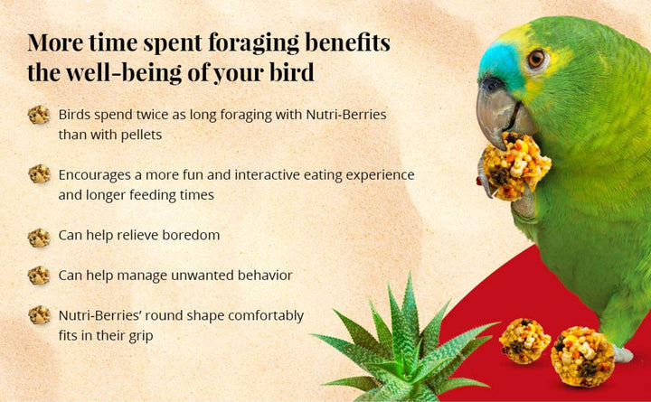 82152-el-paso-nutri-berries-parrot-more-time-spent-foraging-benefits-the-well-being-of-your-bird