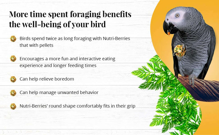82350-garden-veggie-nutri-berries-parrot-foraging-benefits-well-being-of-your-bird
