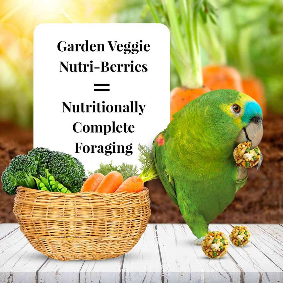 82350-garden-veggie-nutri-berries-parrot-nutritionally-complete-foraging