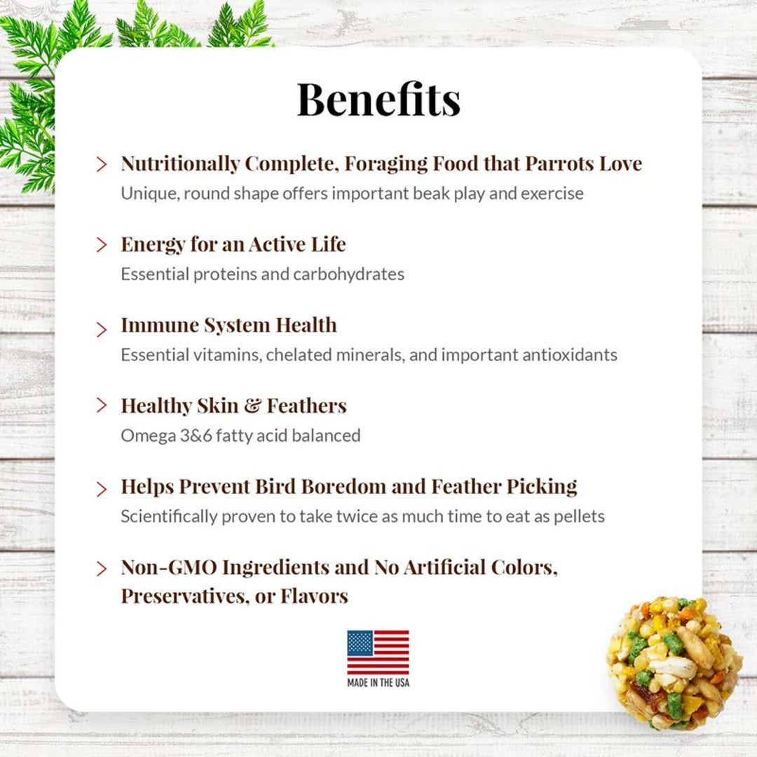 82350-garden-veggie-nutri-berries-parrot-benefits