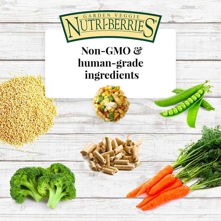 82350-garden-veggie-nutri-berries-parrot-non-gmo-human-grade-ingredients