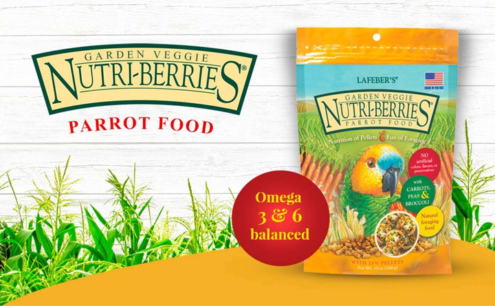 82350-garden-veggie-nutri-berries-parrot-omega-3-omega-6-balanced