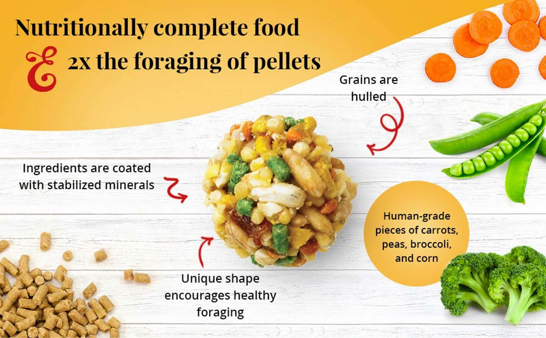 82350-garden-veggie-nutri-berries-parrot-2x-foraging-of-pellets