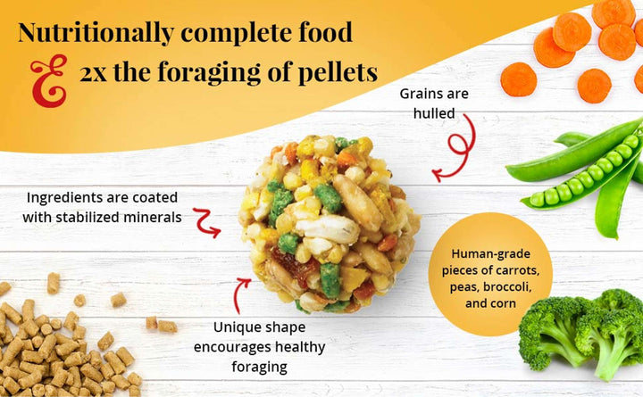82350-garden-veggie-nutri-berries-parrot-2x-foraging-of-pellets