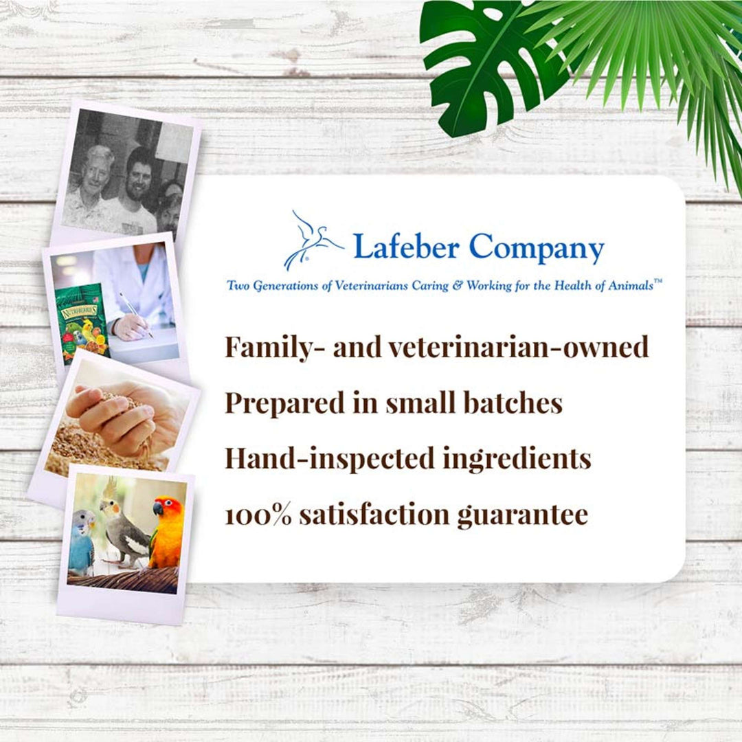 82640-tropical-fruit-nutri-berries-cockatiel-parakeet-lafeber-company