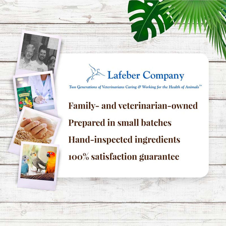 82640-tropical-fruit-nutri-berries-cockatiel-parakeet-lafeber-company