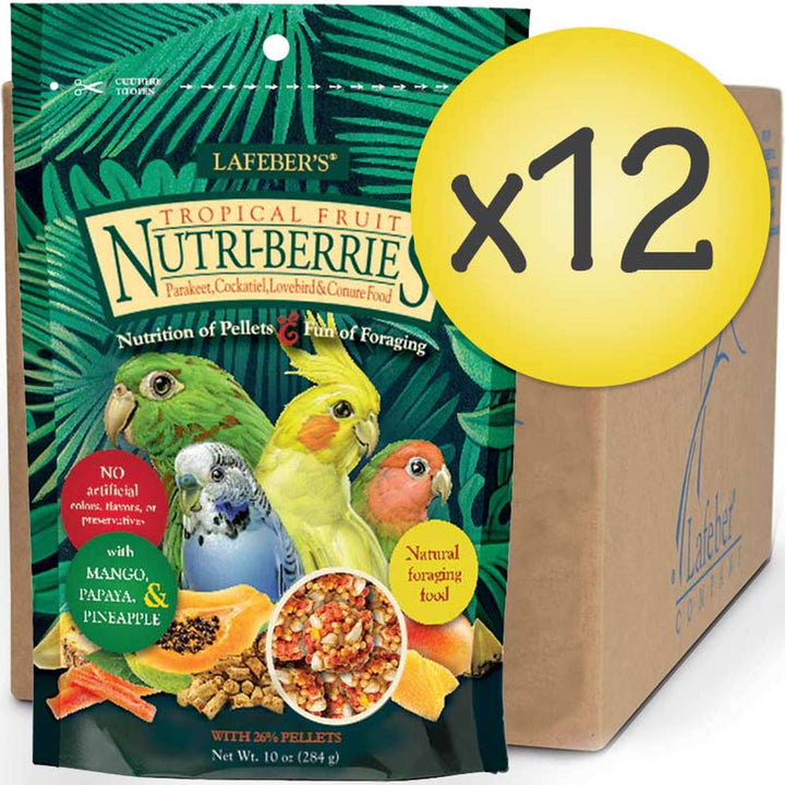 82640-tropical-fruit-nutri-berries-cockatiel-parakeet-case