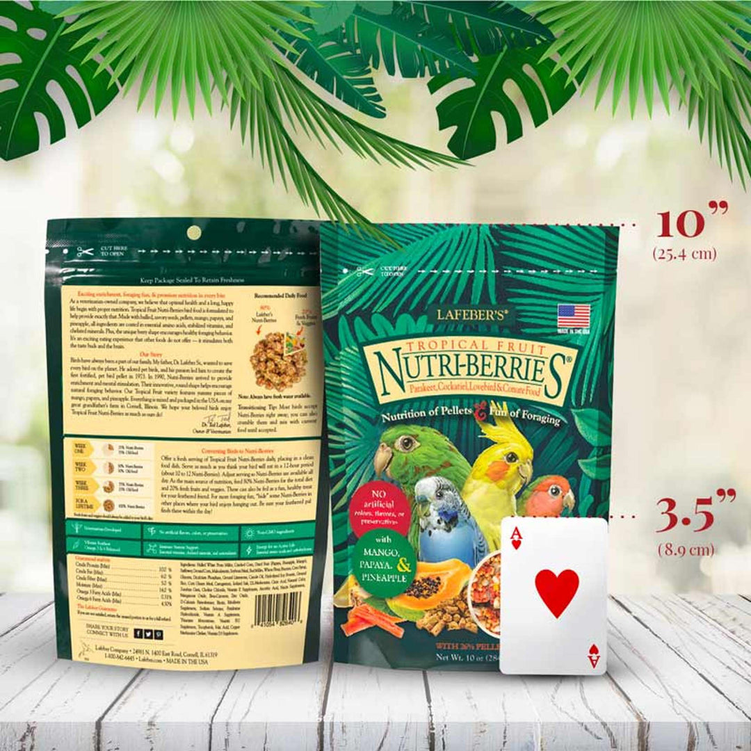 82640-tropical-fruit-nutri-berries-cockatiel-parakeet-size