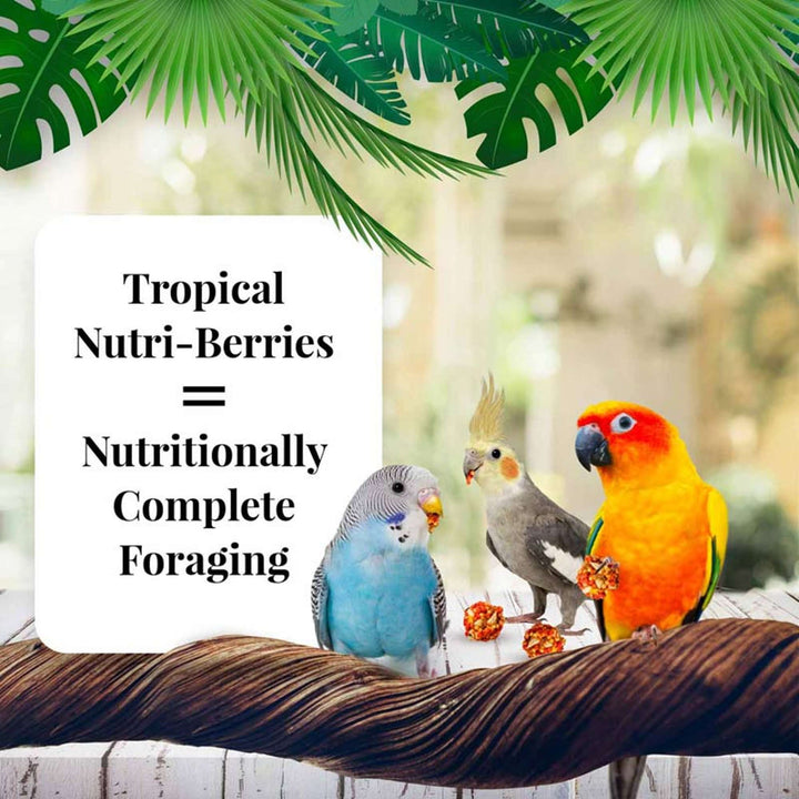 82640-tropical-fruit-nutri-berries-cockatiel-parakeet-nutritionally-complete-foraging