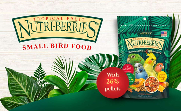 82640-tropical-fruit-nutri-berries-cockatiel-parakeet-with-26%-pellets