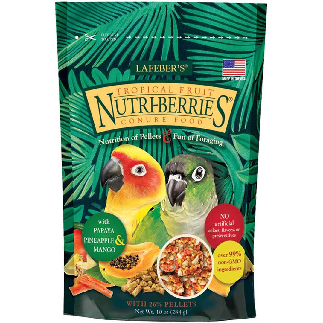 82645-tropical-fruit-nutri-berries-conure-front