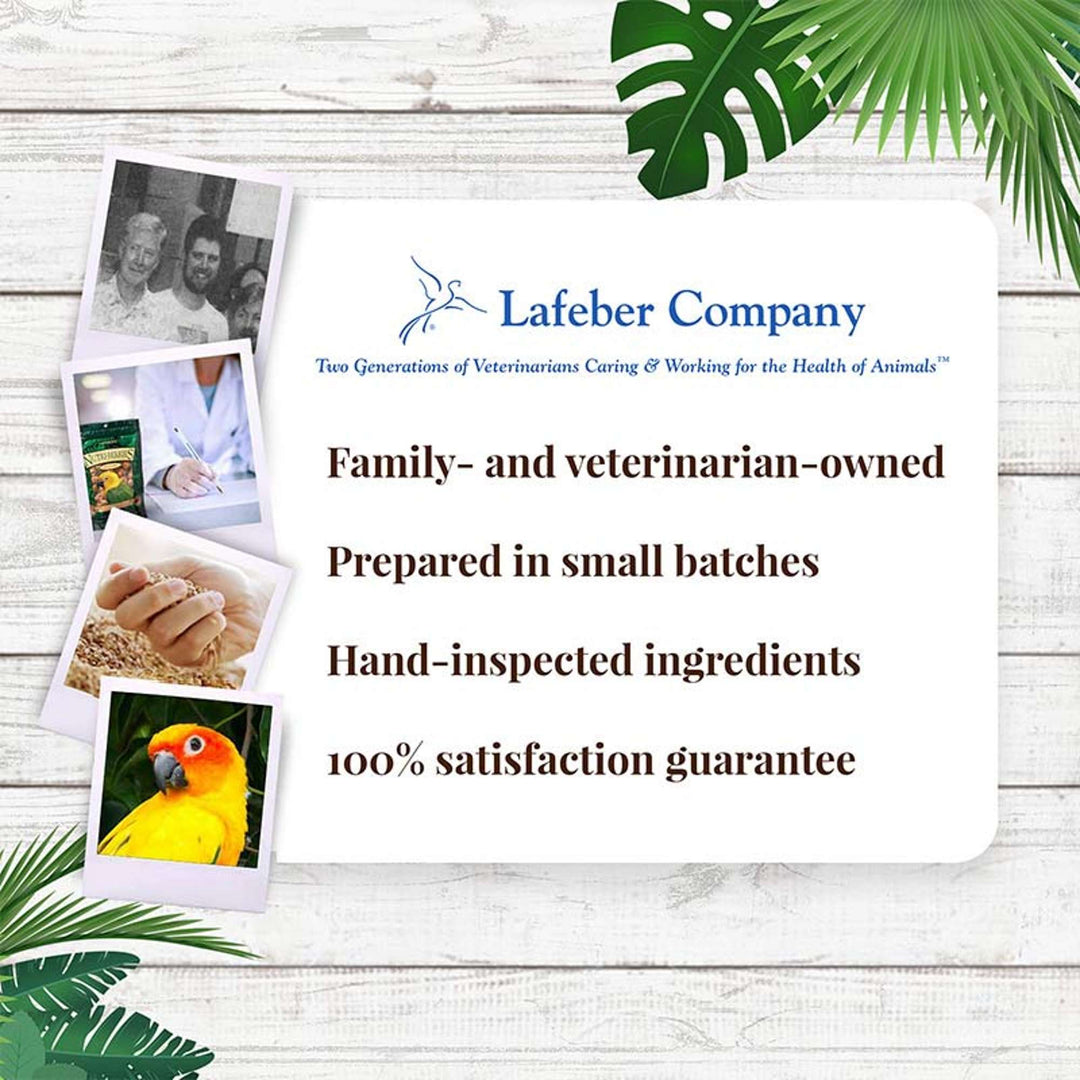 82645-tropical-fruit-nutri-berries-conure-lafeber-company