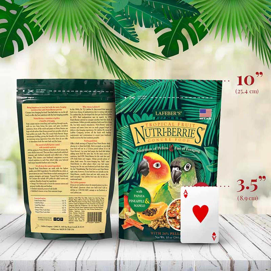 82645-tropical-fruit-nutri-berries-conure-size