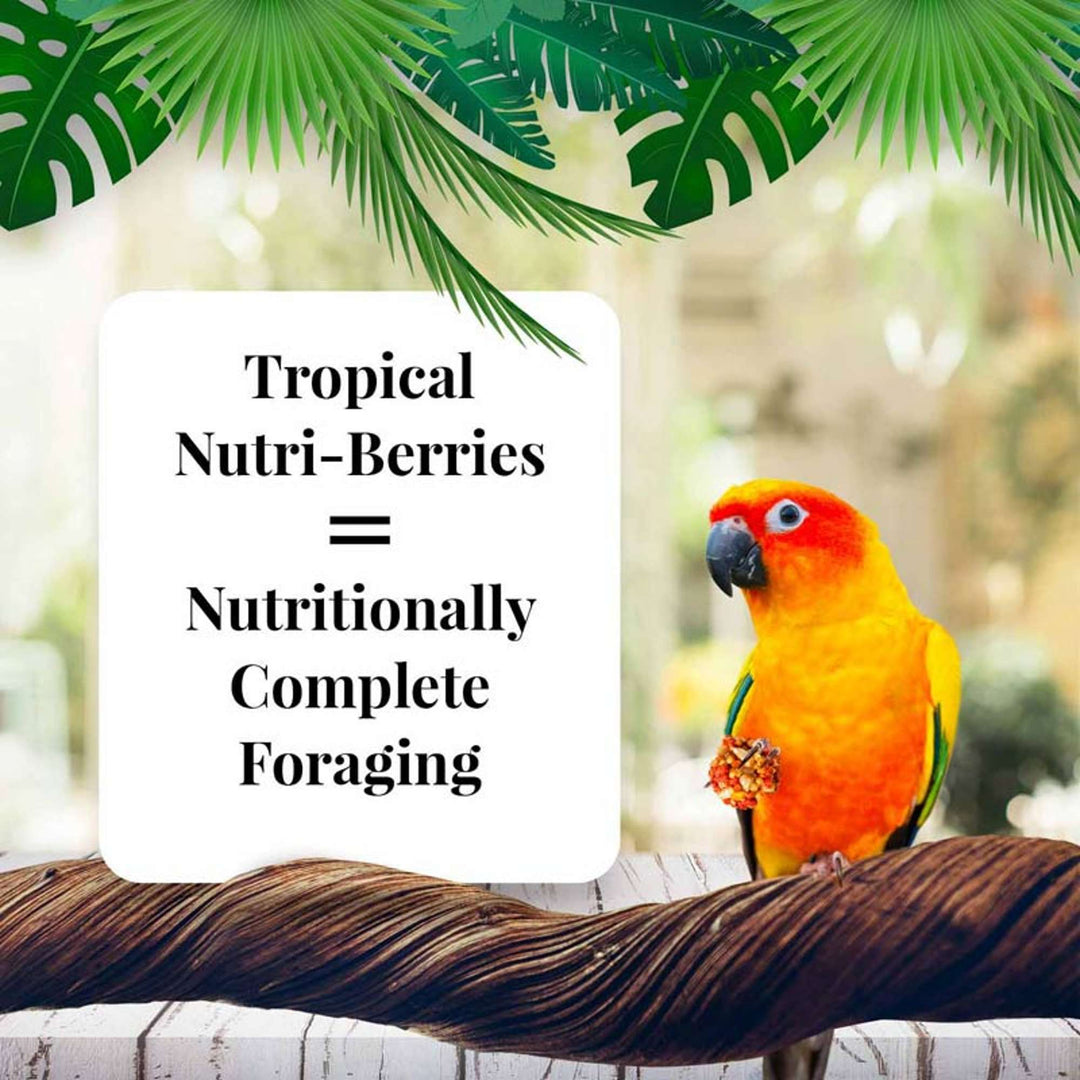 82645-tropical-fruit-nutri-berries-conure-nutritionally-complete-foraging