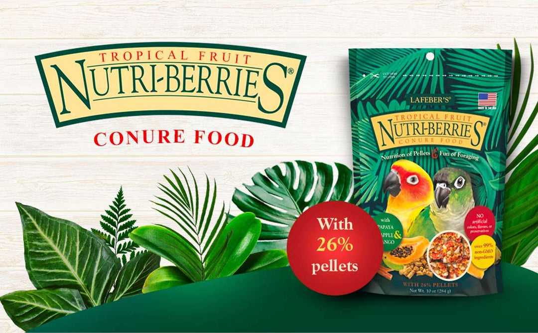 82645-tropical-fruit-nutri-berries-conure-with-26%-pellets