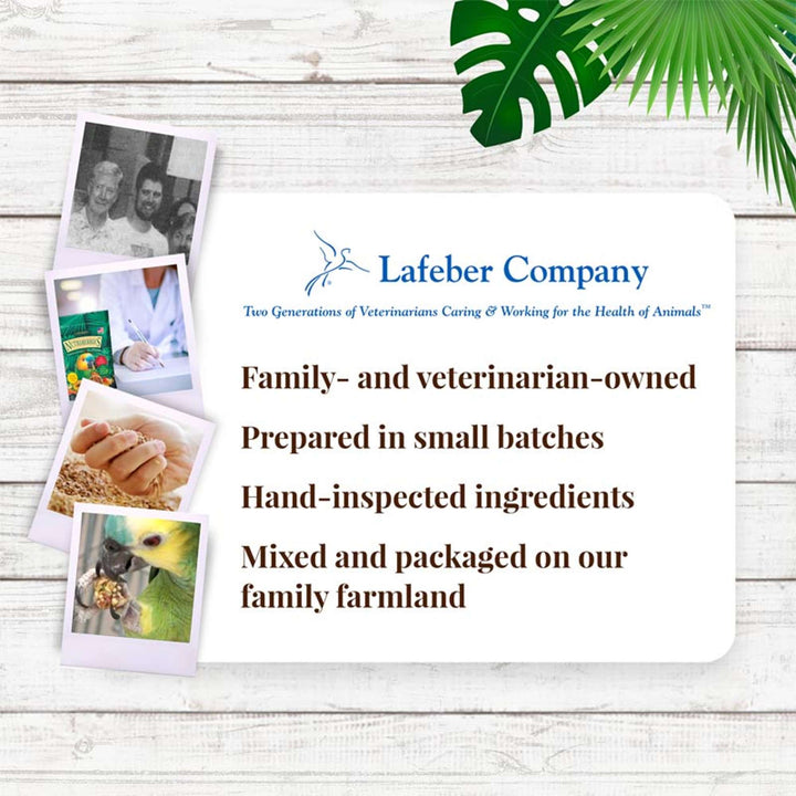 82650-tropical-fruit-nutri-berries-parrot-lafeber-company
